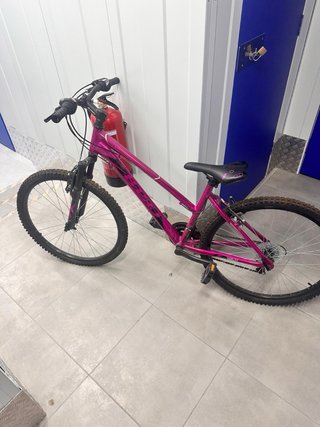 Bicicleta Morada