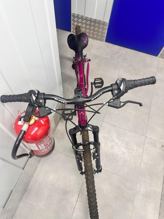 Bicicleta Morada