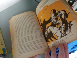 Don Quijote de la Mancha (Editorial Everest)