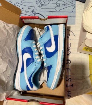 Nike Dunk Low Azul y Blanco