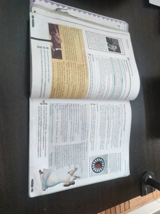 Lengua castellana y literatura Geniox