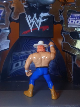 Figura custom Wwf hasbro