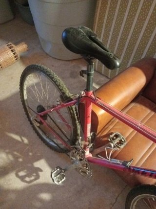 Bicicleta de paseo roja