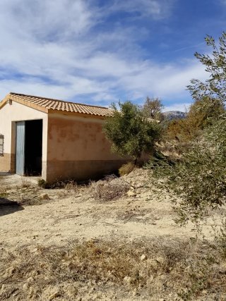 Finca olivos y almendros con casa en Castril Grana