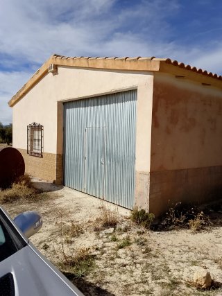 Finca olivos y almendros con casa en Castril Grana