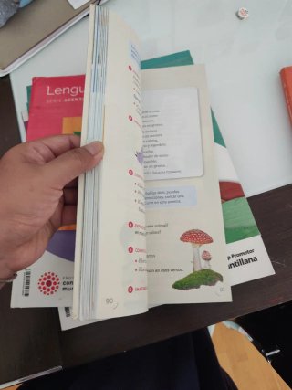 Lengua Castellana, 4 Primaria, Serie Acentos, P...