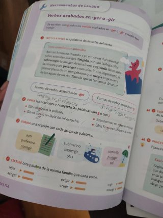 Lengua Castellana, 4 Primaria, Serie Acentos, P...