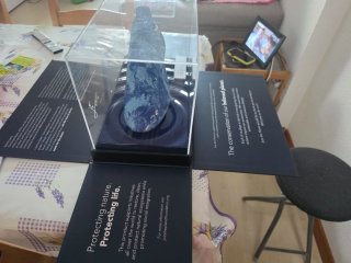 Ultima Oferta Bota de Messi para Coleccion!!!