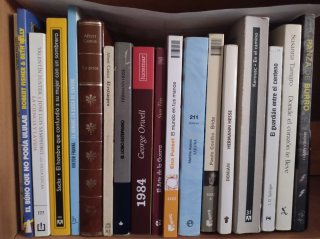Libros por lotes o por unidad