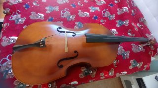 Contrabajo Amadeus 1/2