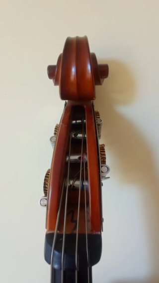 Contrabajo Amadeus 1/2
