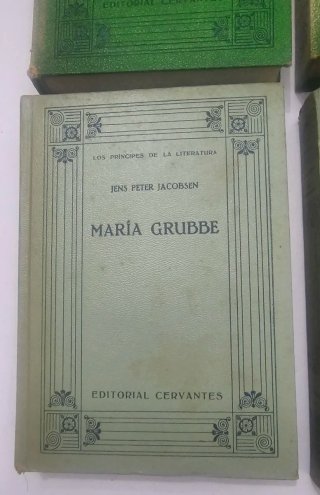 Libro los príncipes de la Literatura