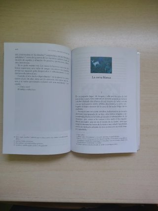 25. Leyendas y rimas