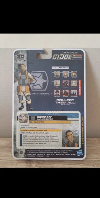 Gijoe G.I Joe GI Joe Ripcord. RENEGADES.