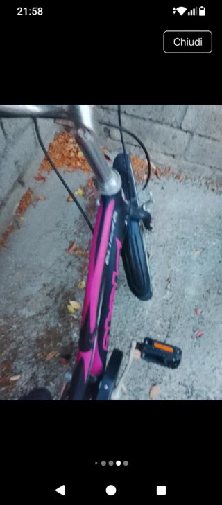 Bicicletta bambina Atala