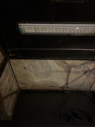 Acuario Negro Transparente
