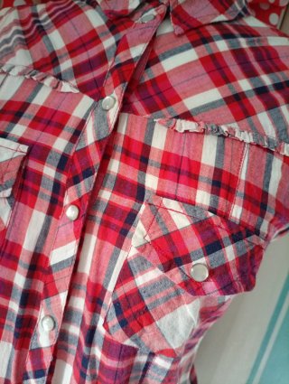 Camisa western