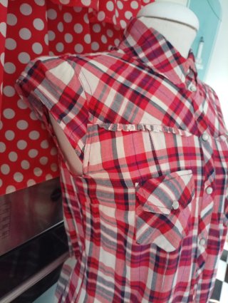 Camisa western