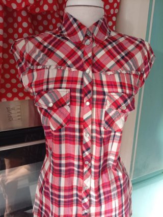 Camisa western