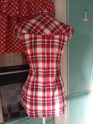 Camisa western