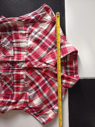 Camisa western