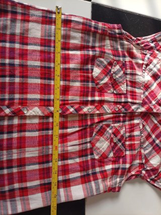 Camisa western