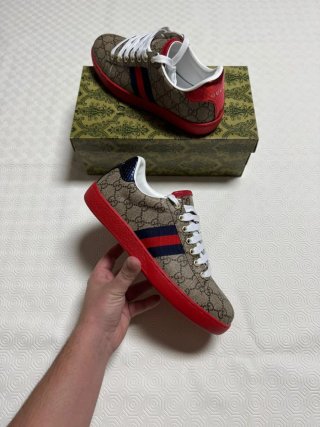 Deportivas Gucci Marrón y Rojo