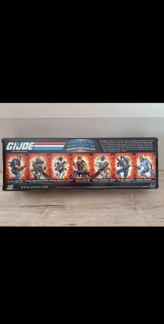 Gijoe G.I Joe GI Joe Cobra Arctic Assault Squad