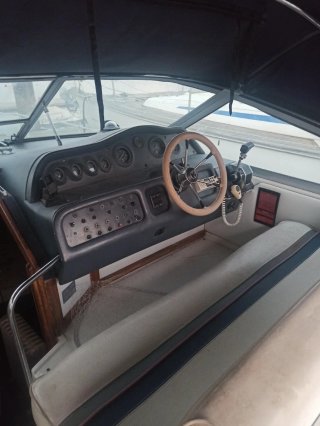 Barco a motor, SeaRay 270 Sundancer.