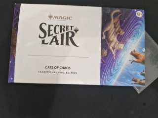 Secret Lair Cats of Chaos Magic The Gathering