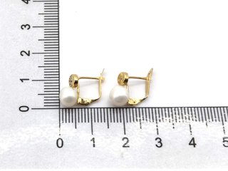 G113630-0    Pendientes Oro 18k Con Circonita,Perl
