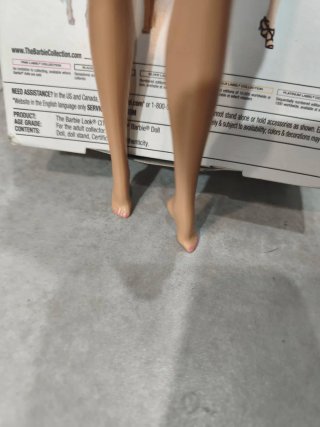 Barbie Look city Shine