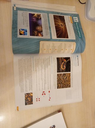 Física y Química 1o Bachillerato : Revuela