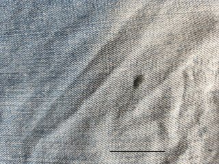2 Vaqueros Levi's Cortos Vintage