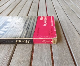 Oltre la pedagogia Diario di una madre di Peroni