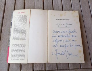 Oltre la pedagogia Diario di una madre di Peroni