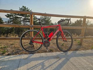 Bicicleta Specialized Roubaix T56
