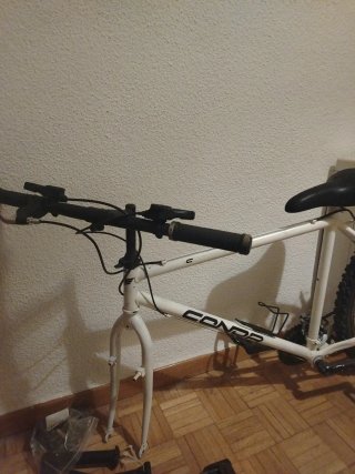Bicicleta blanca