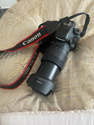 Canon EOS 80D + Objetivo EF-S 18-135mm