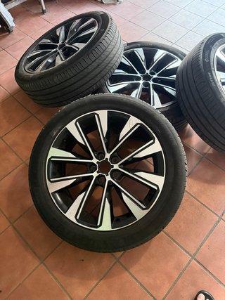 Llantas Rin 19 Renault Austral