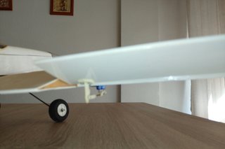 Avión teledirigido RC
