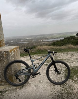 Scott Spark