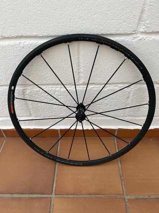 Rueda Delantera Campagnolo Shamal Mille