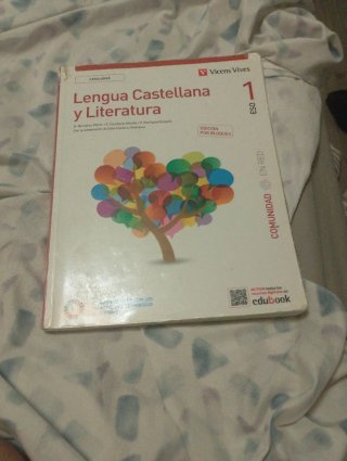 LENGUA CASTELLANA Y LITERATURA 1 BL CT (CER)