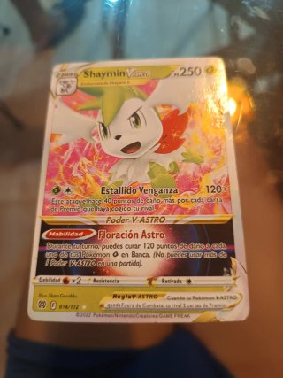 Carta Pokémon Zamazenta V 196/202