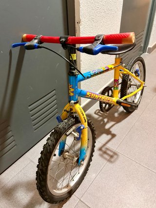 Bicicleta infantil Suntrack