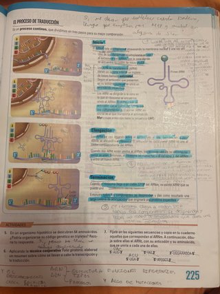 Biología y geología, 4 ESO.