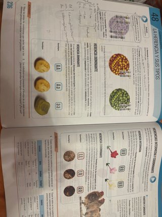 Biología y geología, 4 ESO.