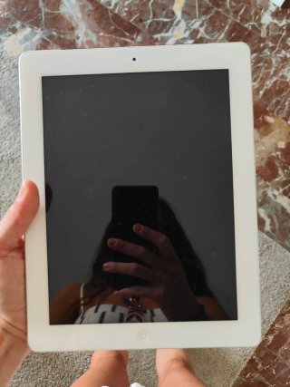 Apple iPad Blanco y Plateado