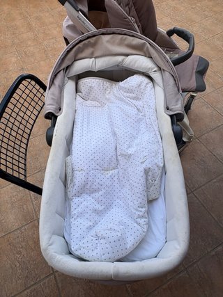 Carrito Bebé Inglesina Trilogy + Capazo